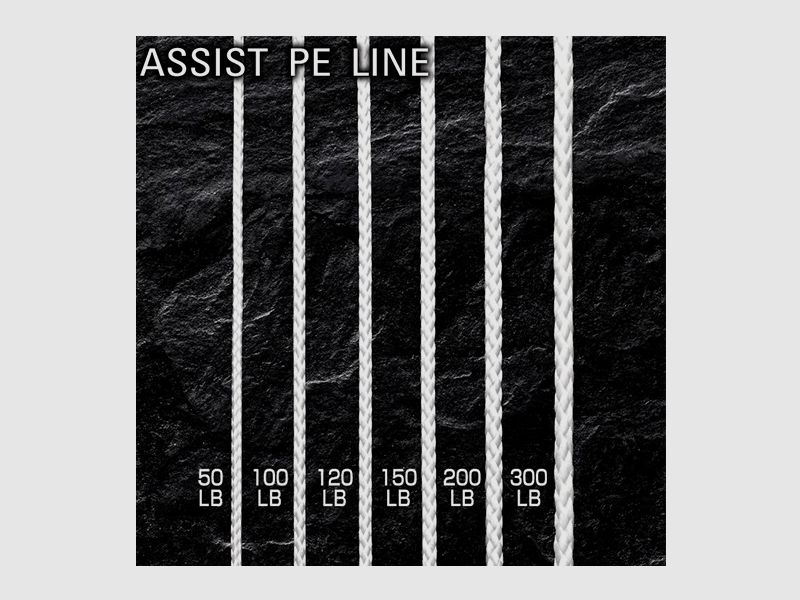 ASSIST PE LINE SHOUT, Bild 2 von 3