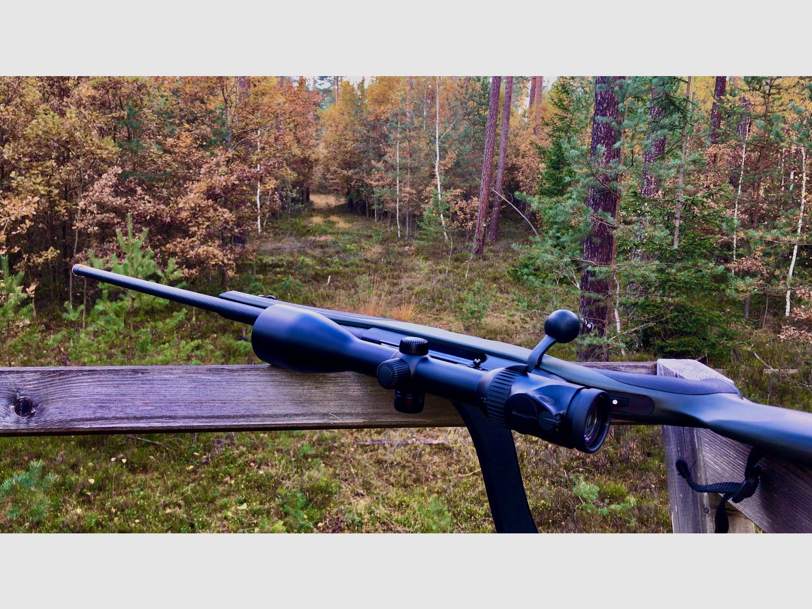 Steyr Mannlicher Mod. CL II SX .300WinMag 