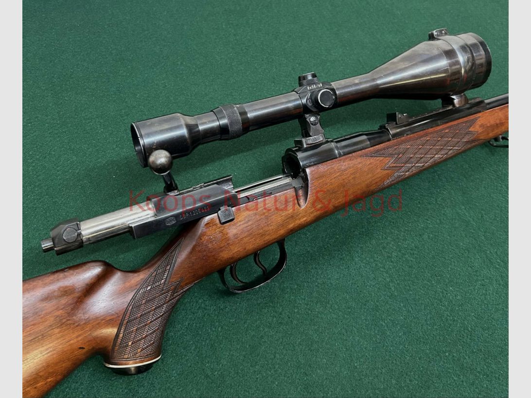 Mauser 66