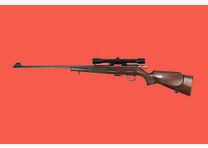 Anschütz Anschütz .22 winMag