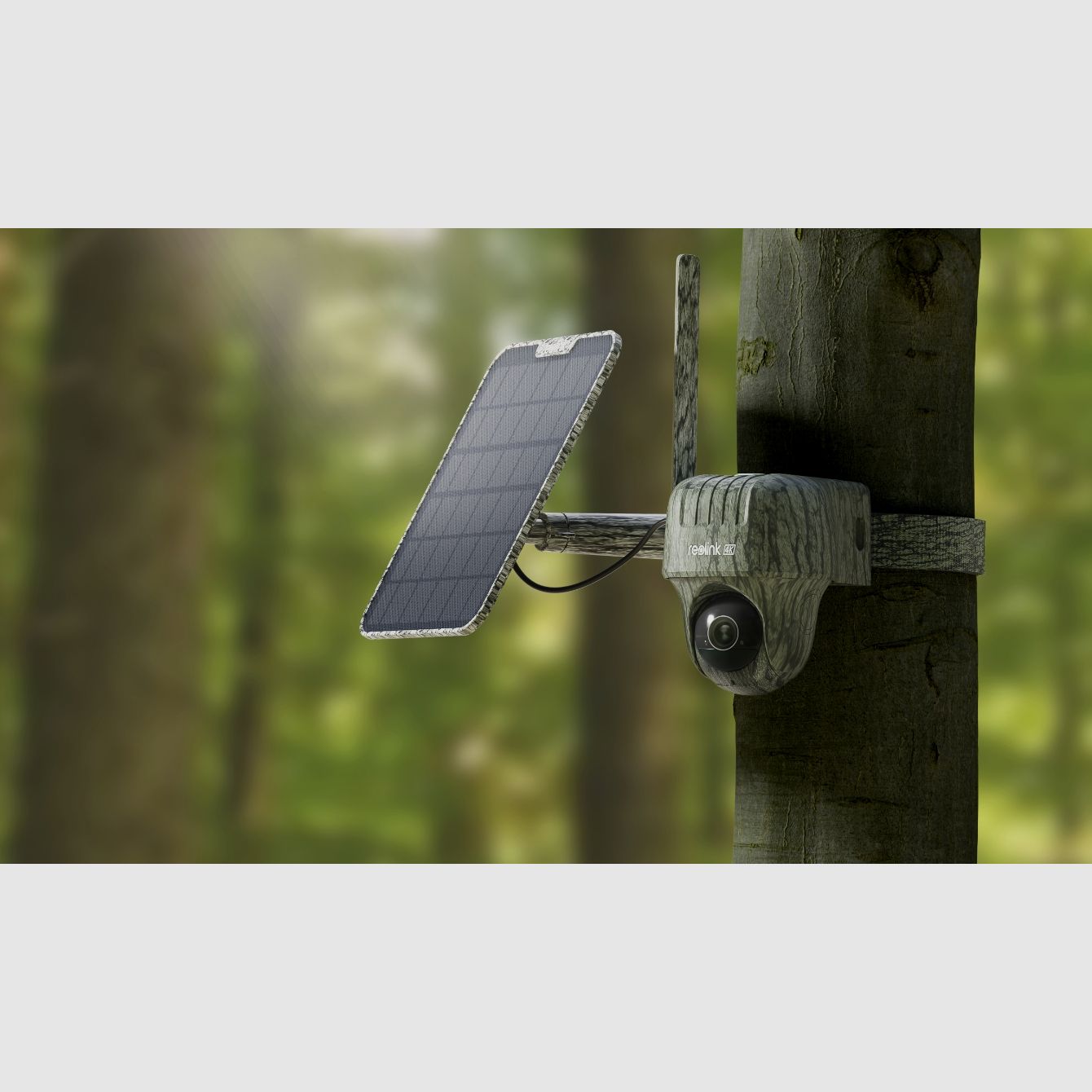 Reolink Go Ranger PT mit Solarpanel 4K 4G LTE Wildlife Camera mit 360 Grad Sicht