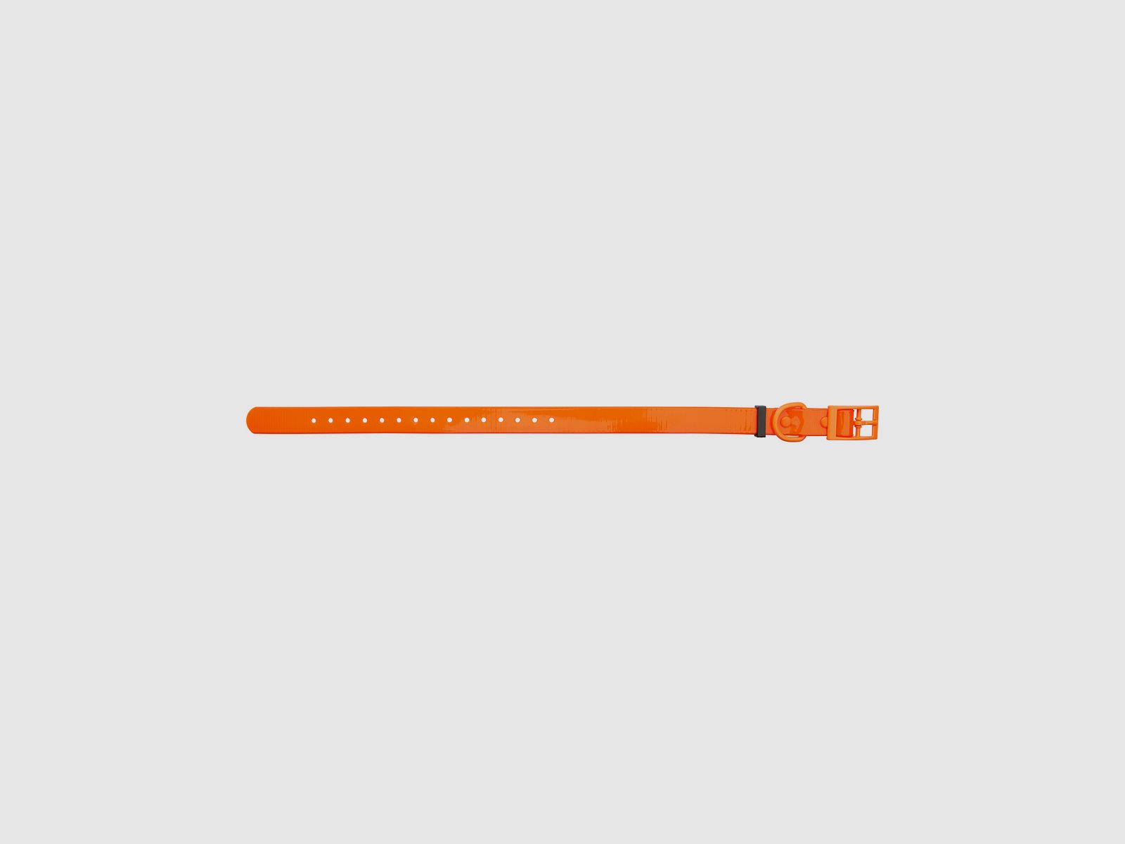 HP&G Dog Collar 19mm Orange