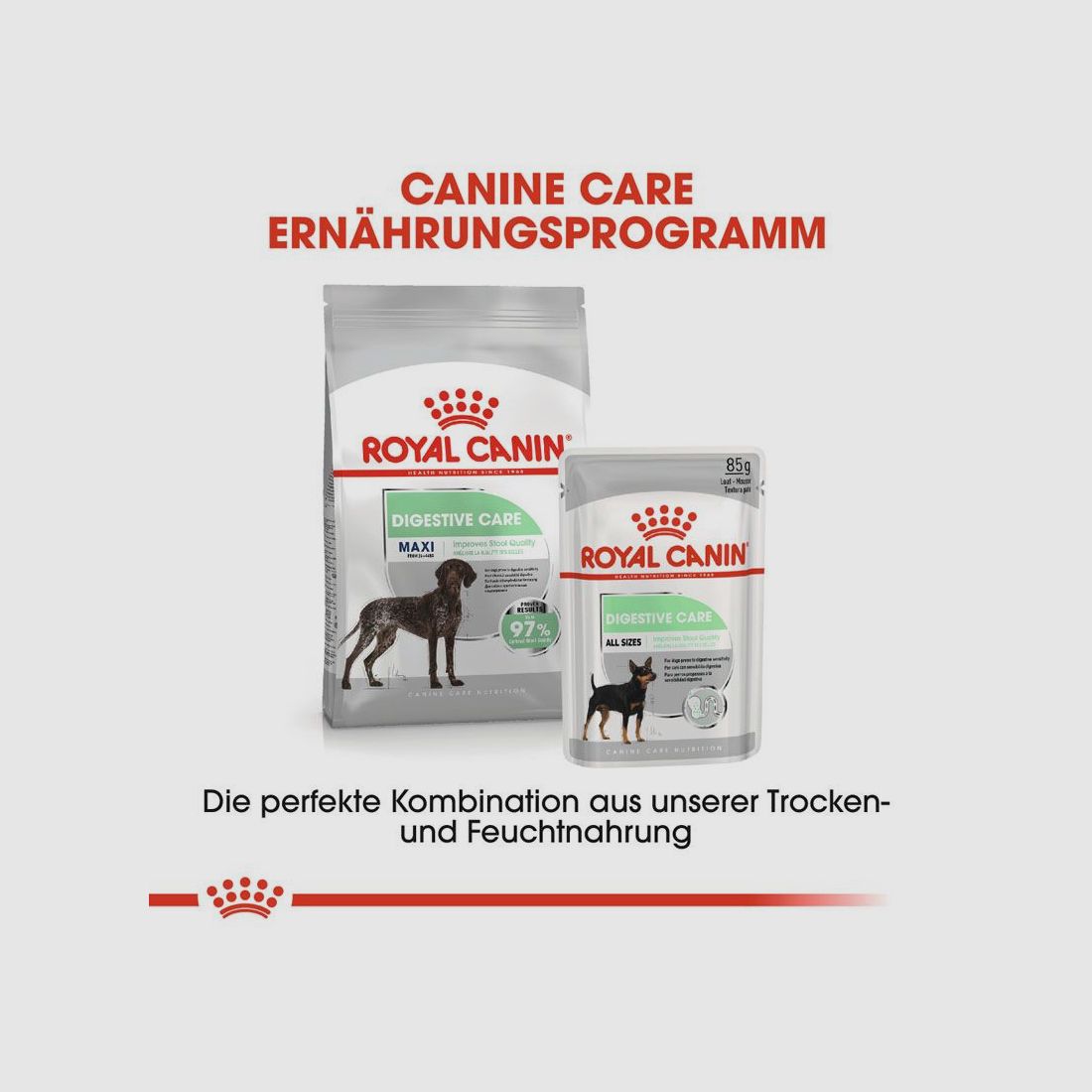 ROYAL CANIN Große Hunde Trockenfutter Digestive Care Maxi für empfindliche Verdauung 12 Kg