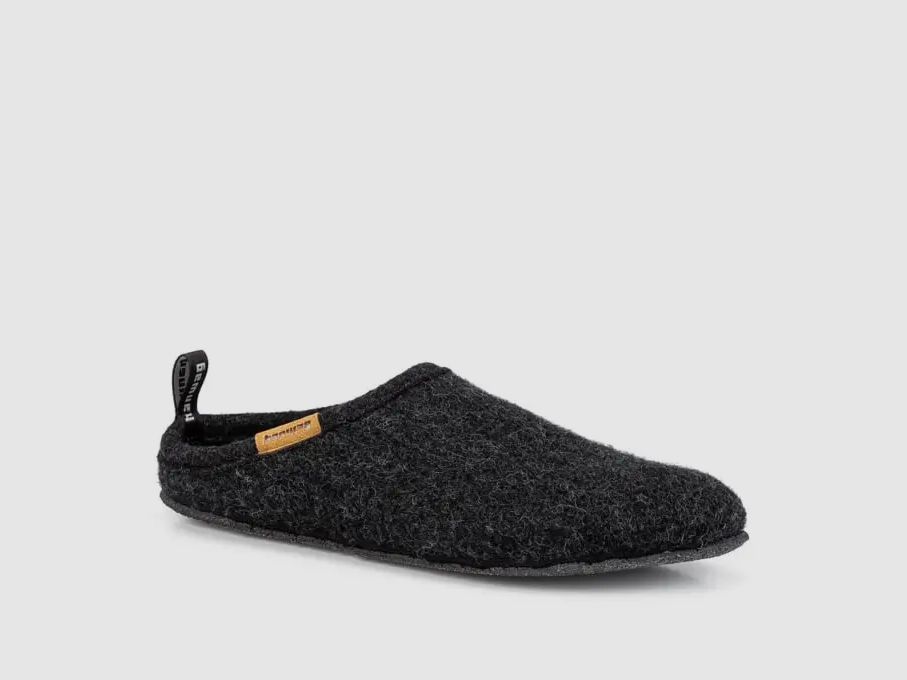 Zapato de casa Hanwag