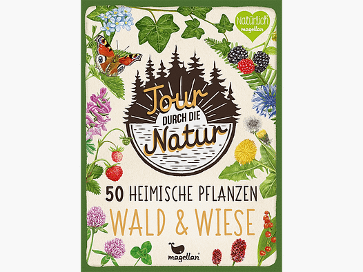Spiel "Tour durch die Natur - Wald und Wiese"