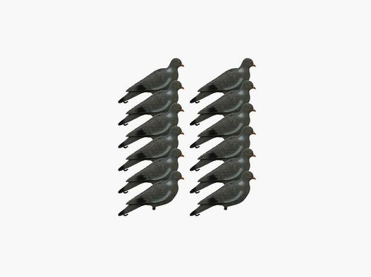 12 formes de pigeon floquée
