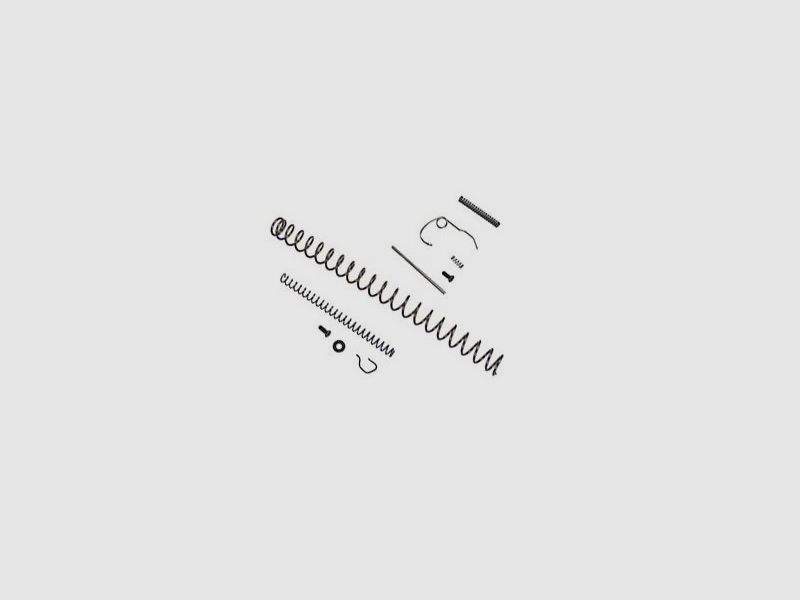 Federn Service Kit Kahr CW9