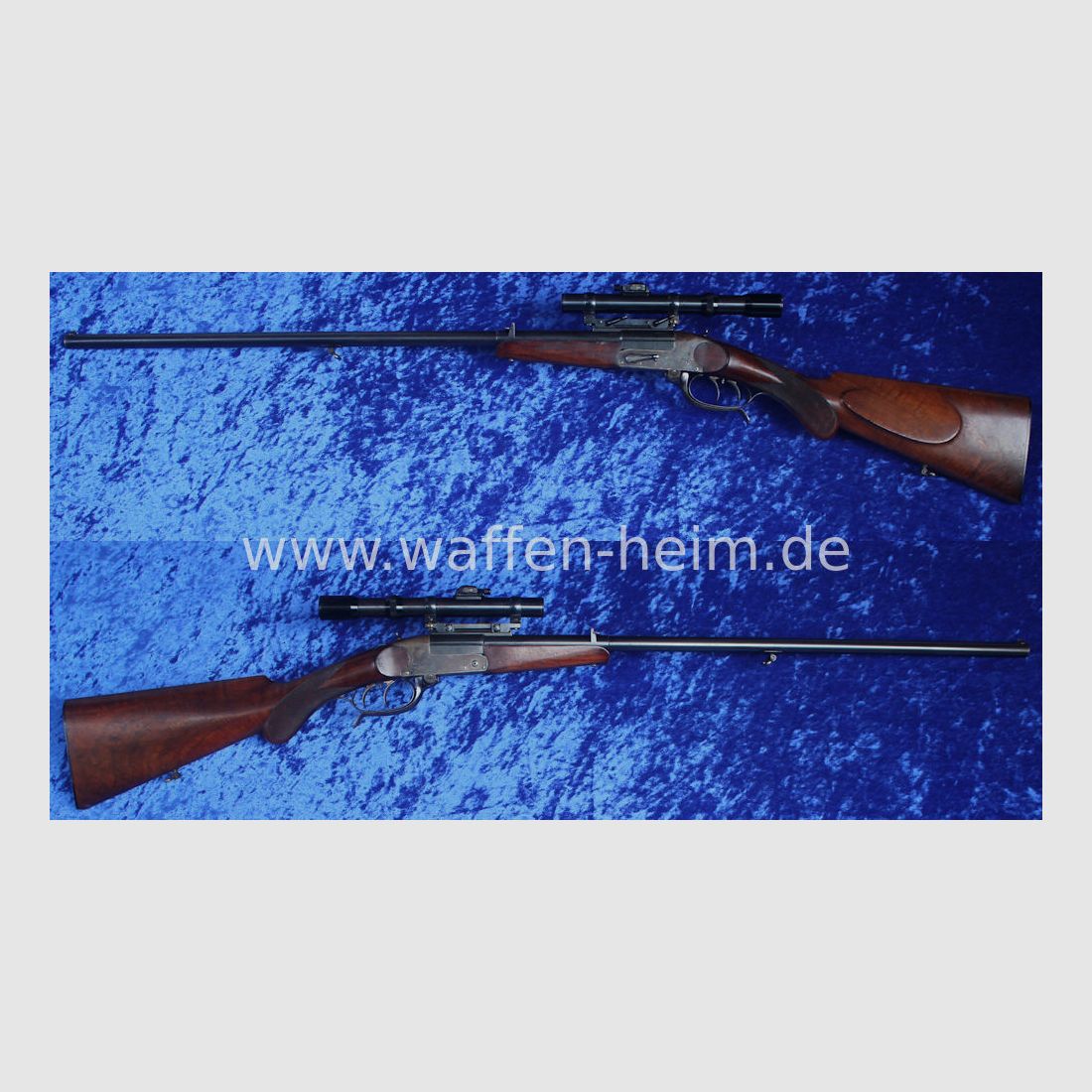 Sauer & Sohn Tell, image 1 sur 7
