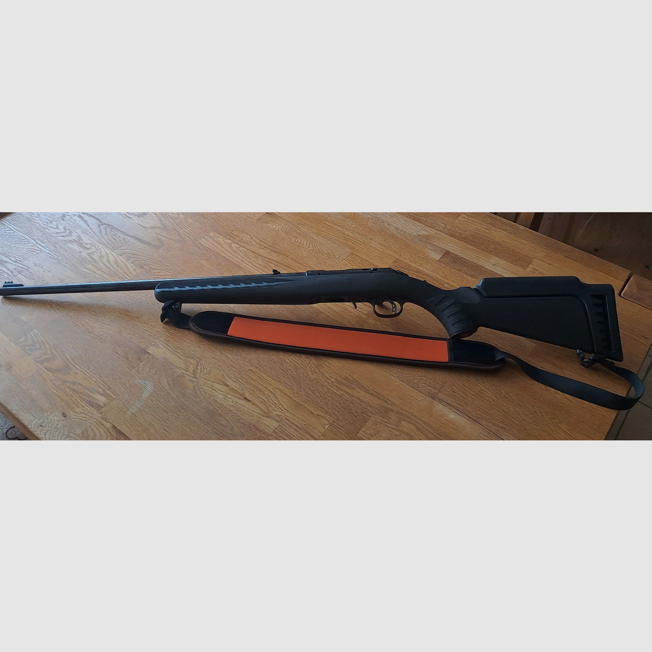Ruger 17 HMR