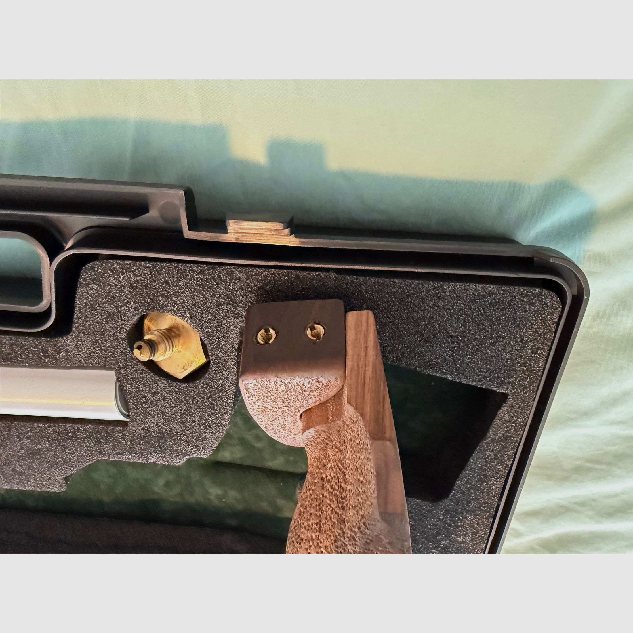 Steyr Evo LP10E 