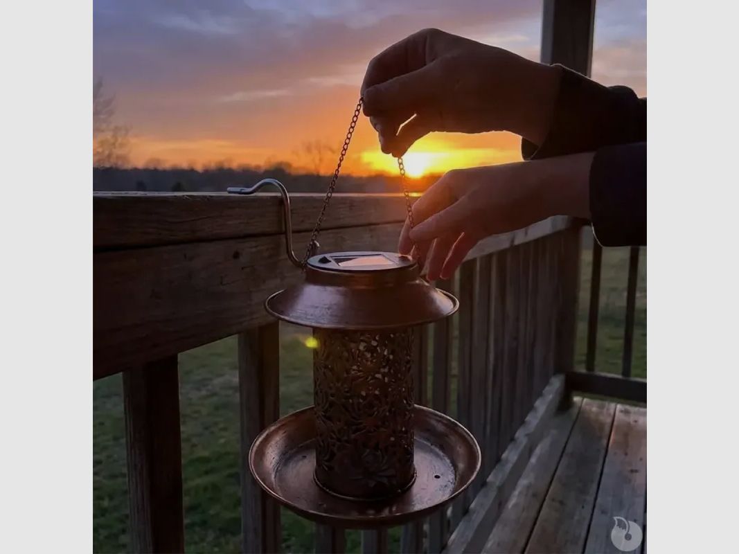 Solarlaterne und Futterstelle Ø 19 x 20 cm, Bild 8 von 10