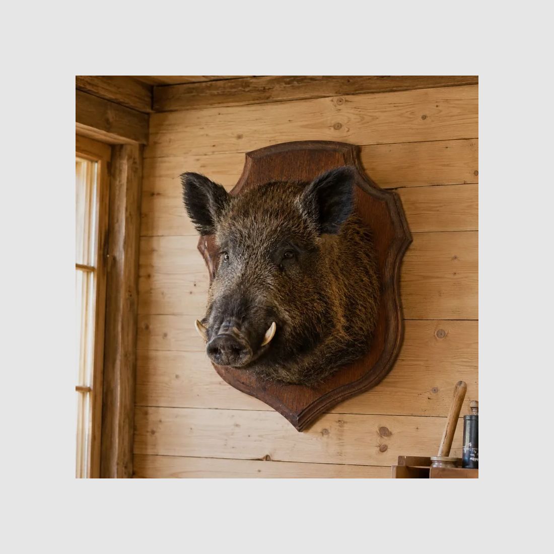 Abzeichen Jagdtrophäe Eiche gewachst 34x28cm, Bild 1 von 5