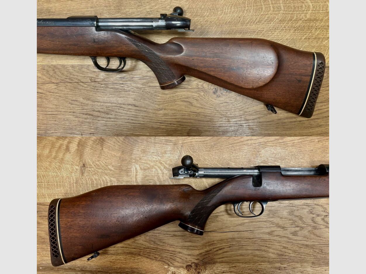 Sauer Weatherby Europa