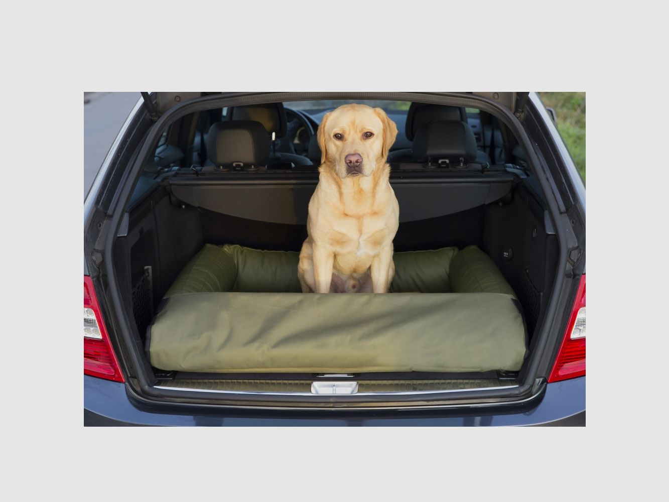 Hubertus Gold Letto per cani, immagine 2 di 4