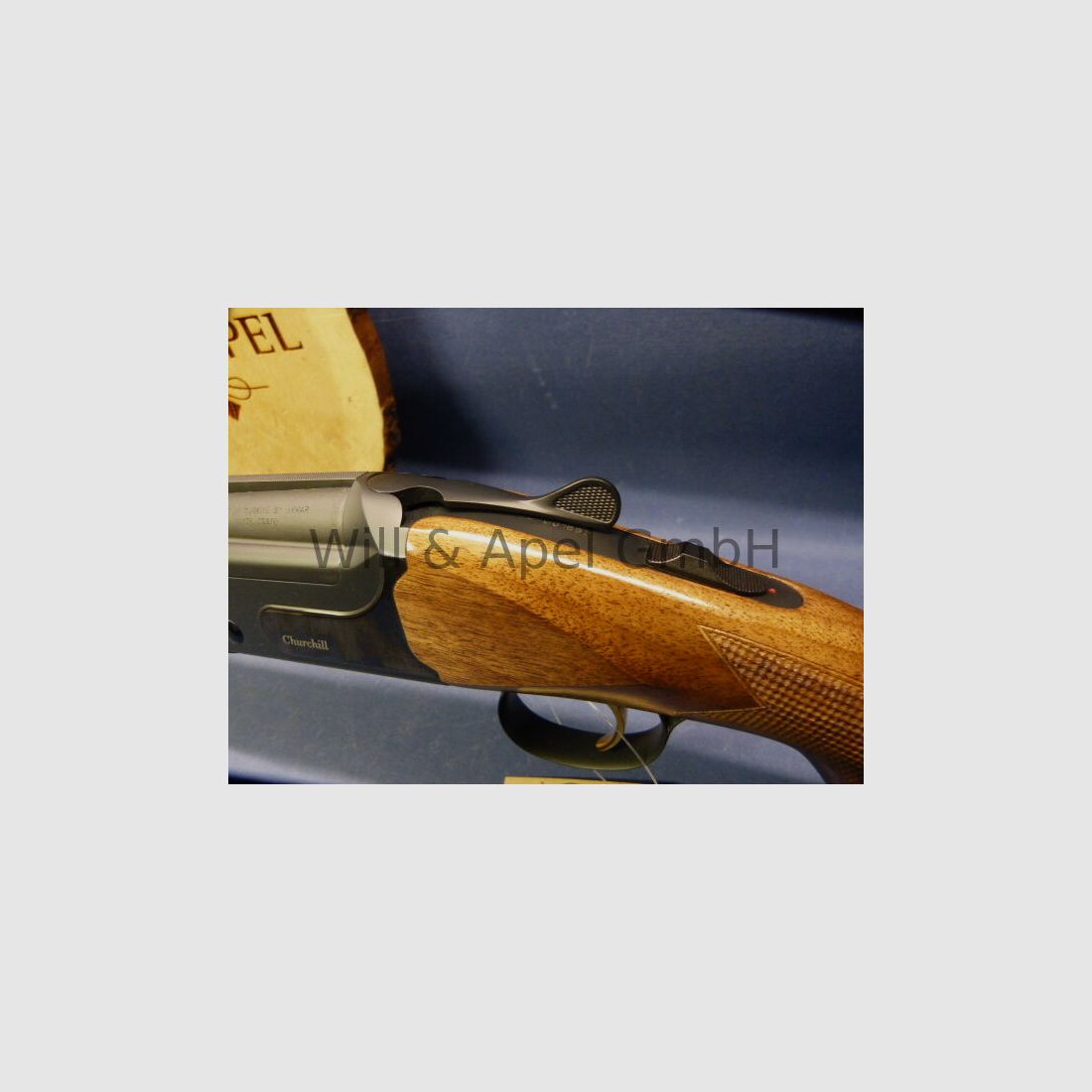 Akkar Churchill Lady Black