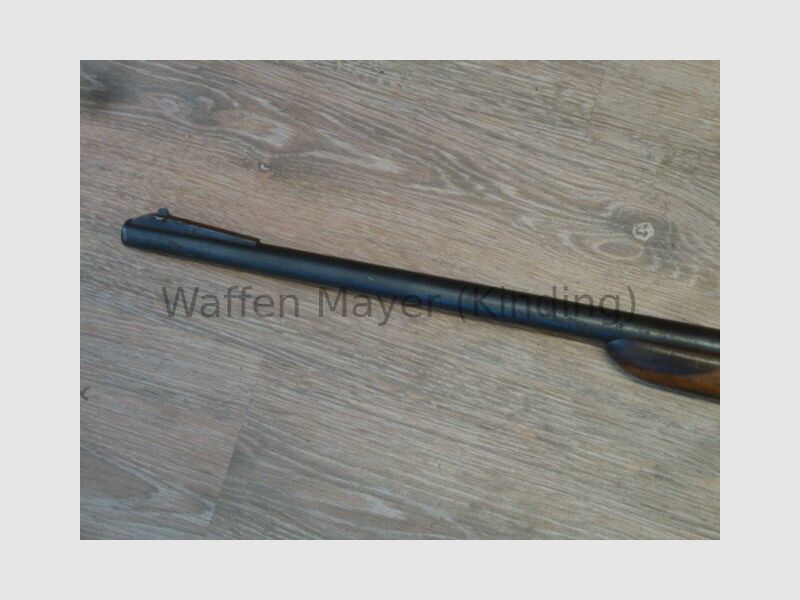 Heinzelmann Mod. Home