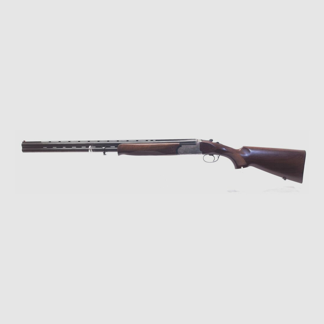 Rizzini AT 605