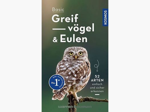 Cosmos Quels rapaces et hiboux sont-ils?