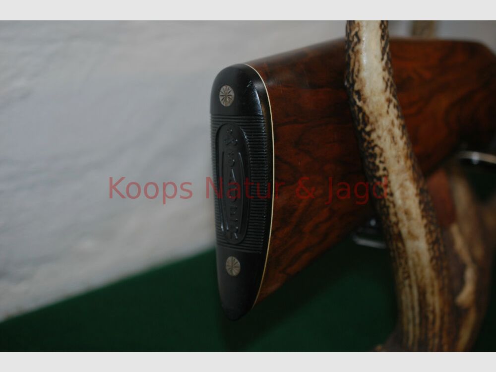 Sauer & Sohn 3000 AL