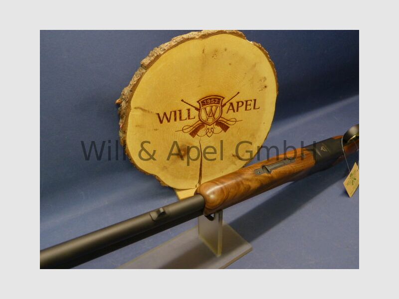 Akkar Churchill Lady Black