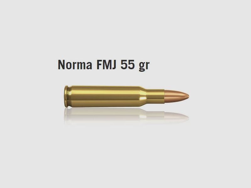 CAL. 450 MARLIN HORNADY FTX 325 GRAIN Verpackung 20 Stk., Bild 40 von 42