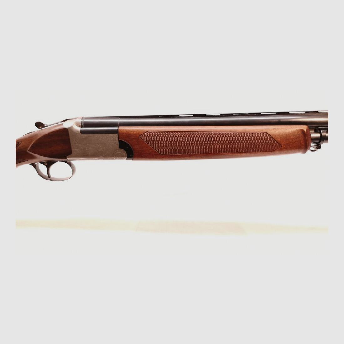 Franchi Alcione (AL)