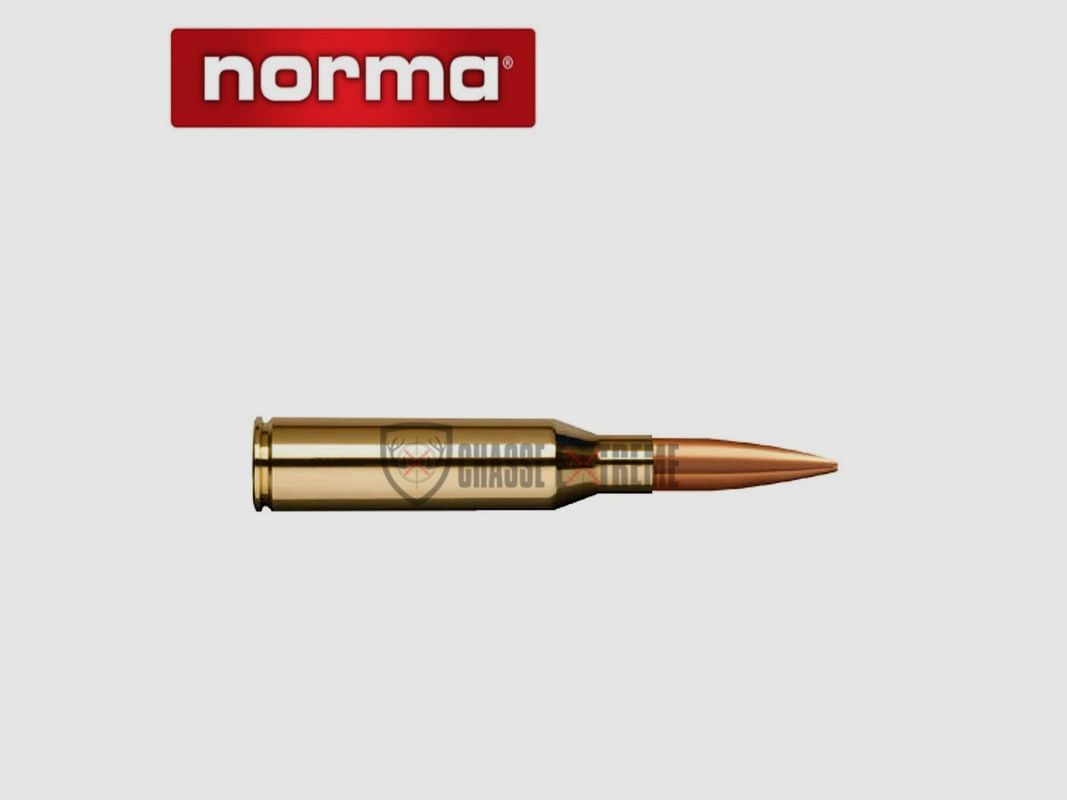 20 Munitions NORMA Cal 338 Norma Mag 300gr Sierra HPBT