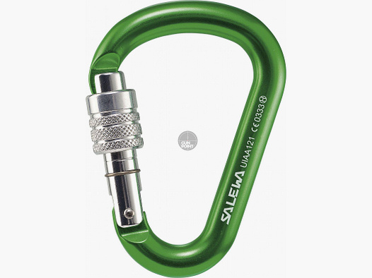 Salewa Karabiner 'HMS G2' medium grün Screw