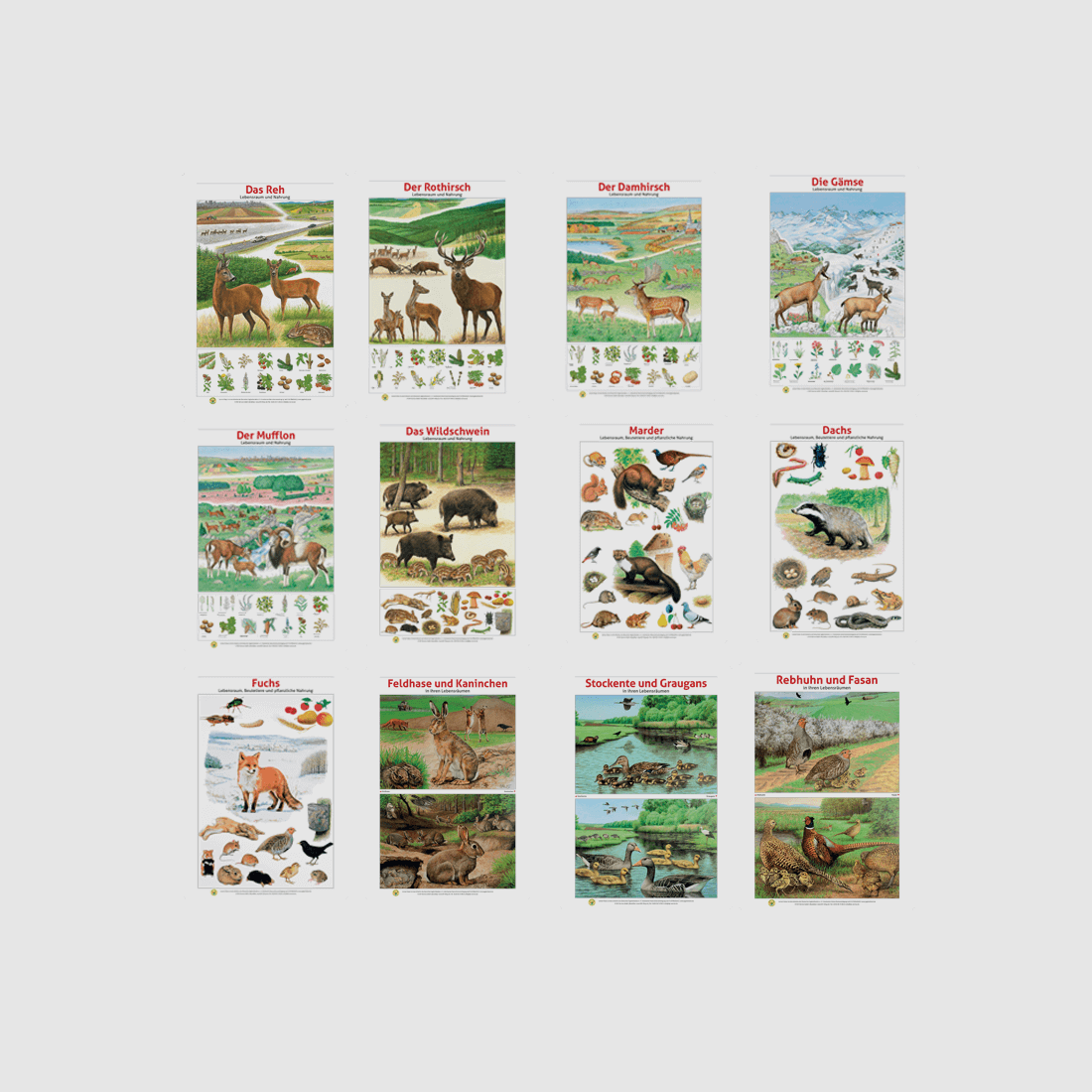 Lernort Natur-Tafel-Set "Heimische Wildtiere - Lebensraum und Nahrung" (12 Tafeln)