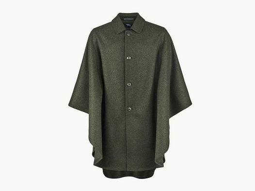 PIES MYŚLIWSKI Plama pogodowa Altach