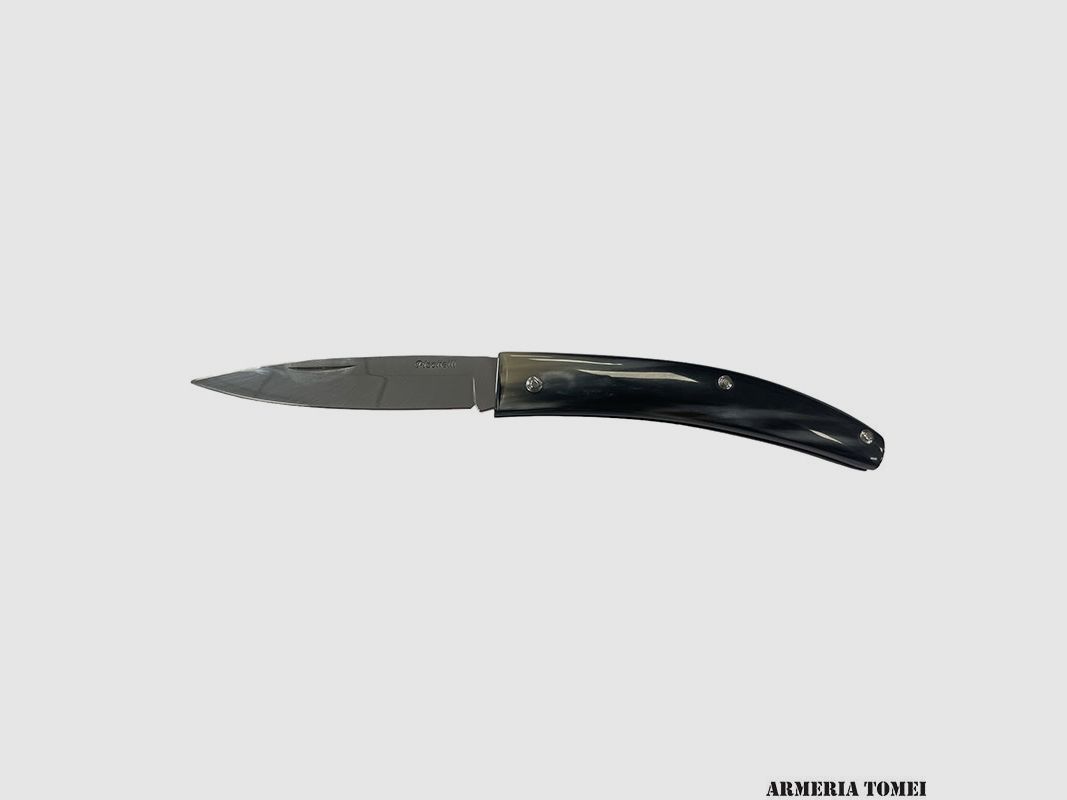 Knife – Gobbo Abruzzese Blade Polished – Horn 20cm, image 1 of 4