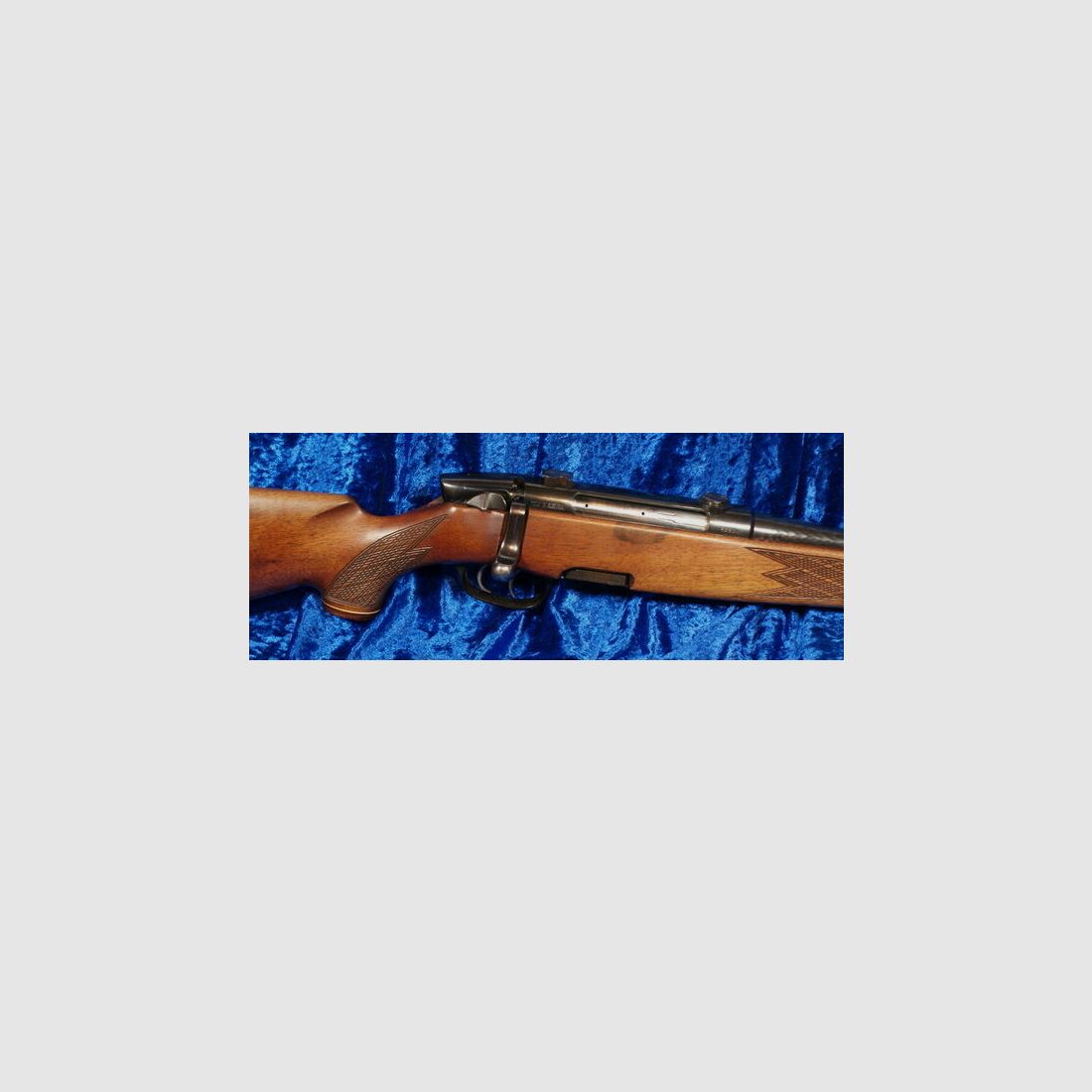 Steyr S