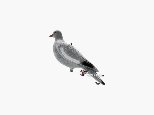 Realistische 3D Taube Zielscheibe