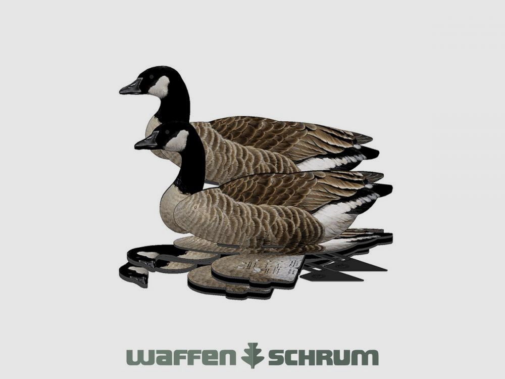 National Rifle Association FUD Lockvogel Kanadagans 6er Pack