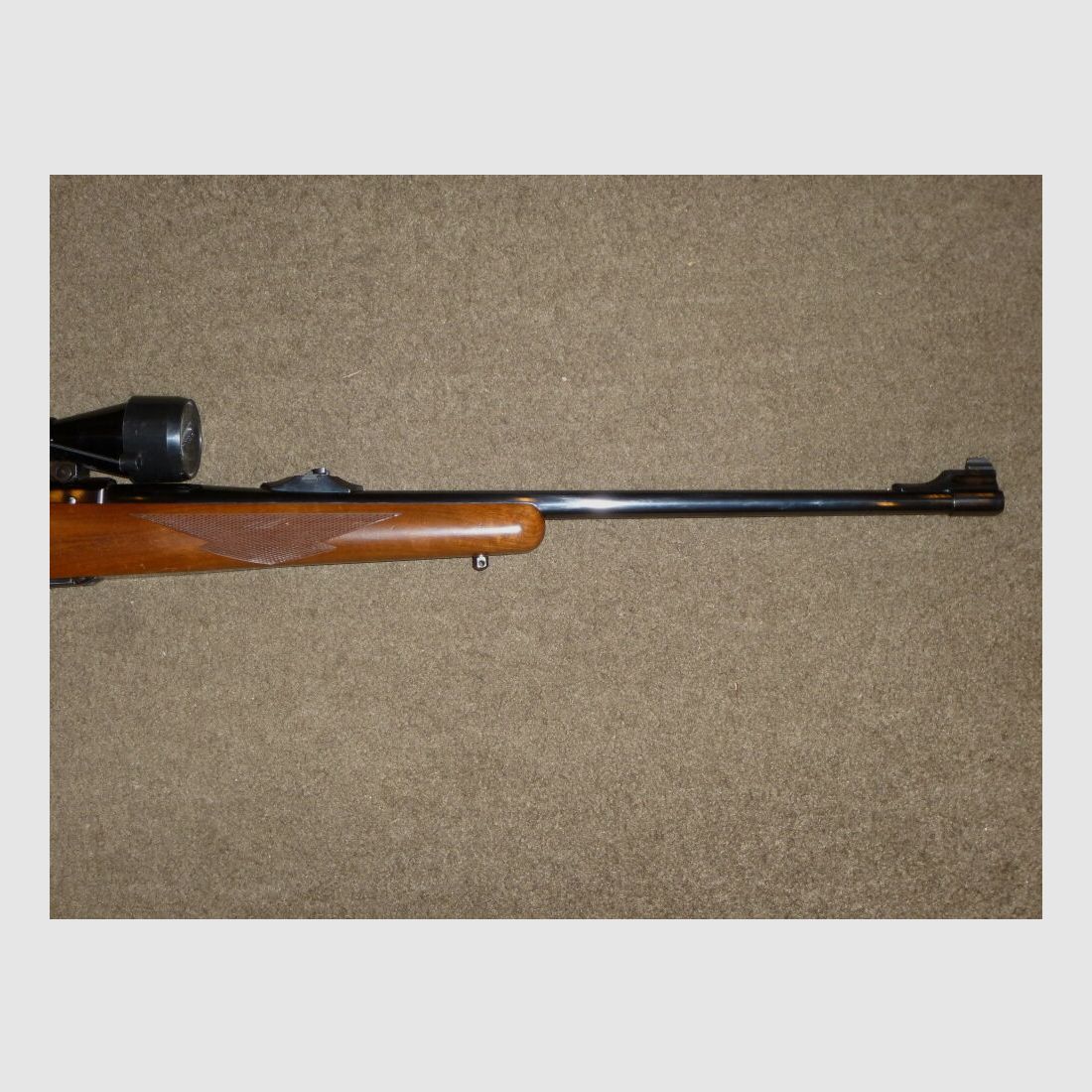 Ruger M77
