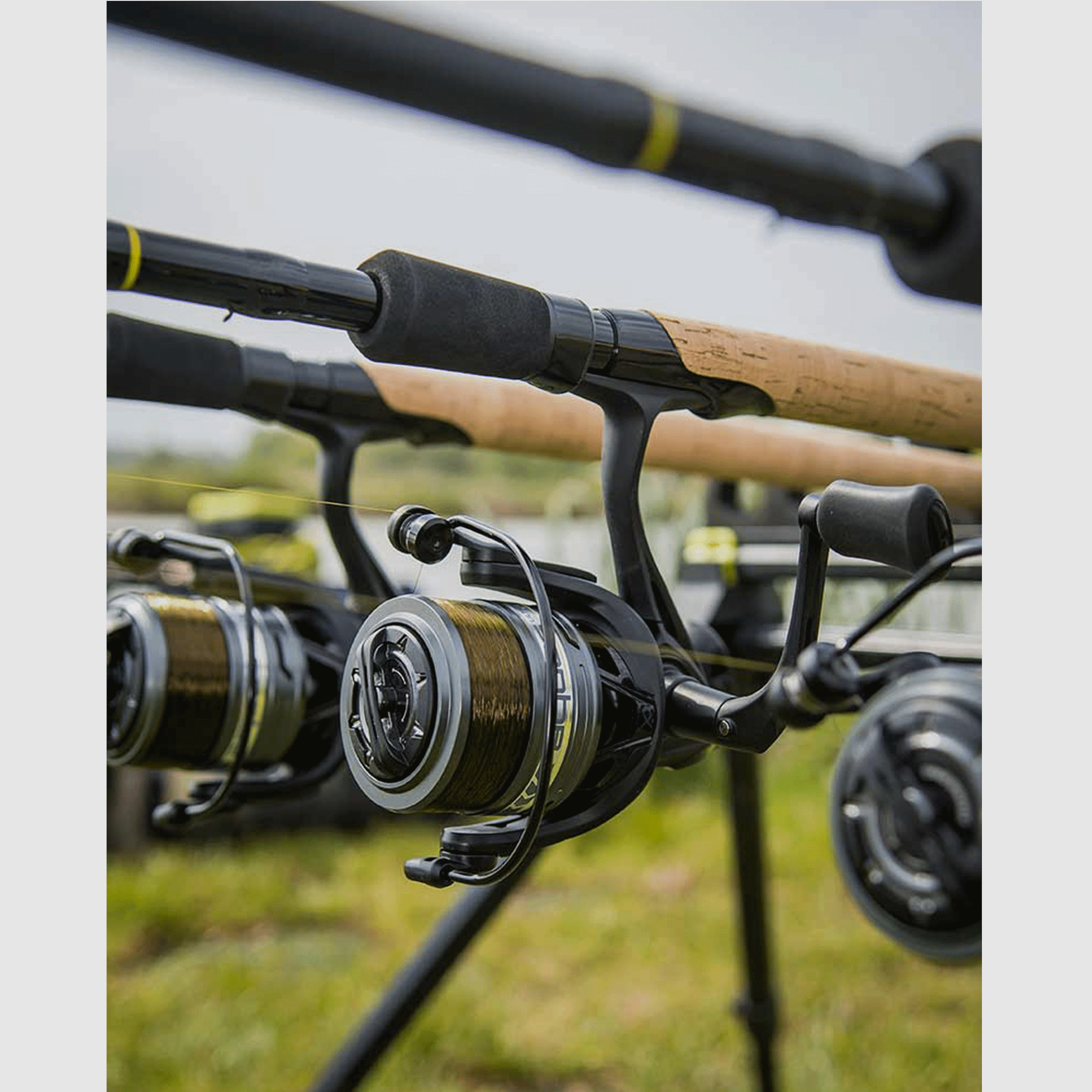 REEL – MATRIX – AQUOS ULTRA REEL, image 18 of 20