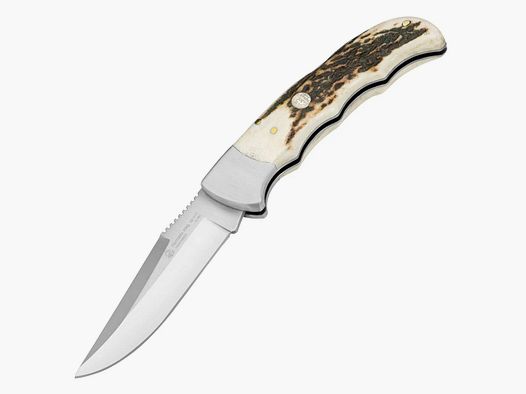 PUMA IP marmota, stag