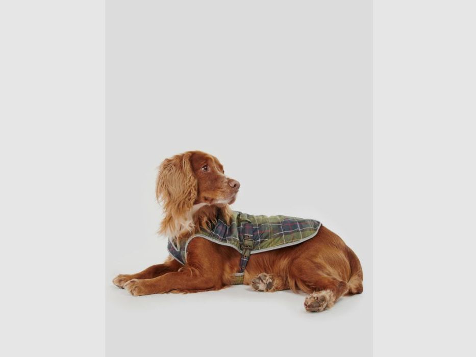 Barbour Hundemantel Tartan Waterproof, Bild 1 von 10