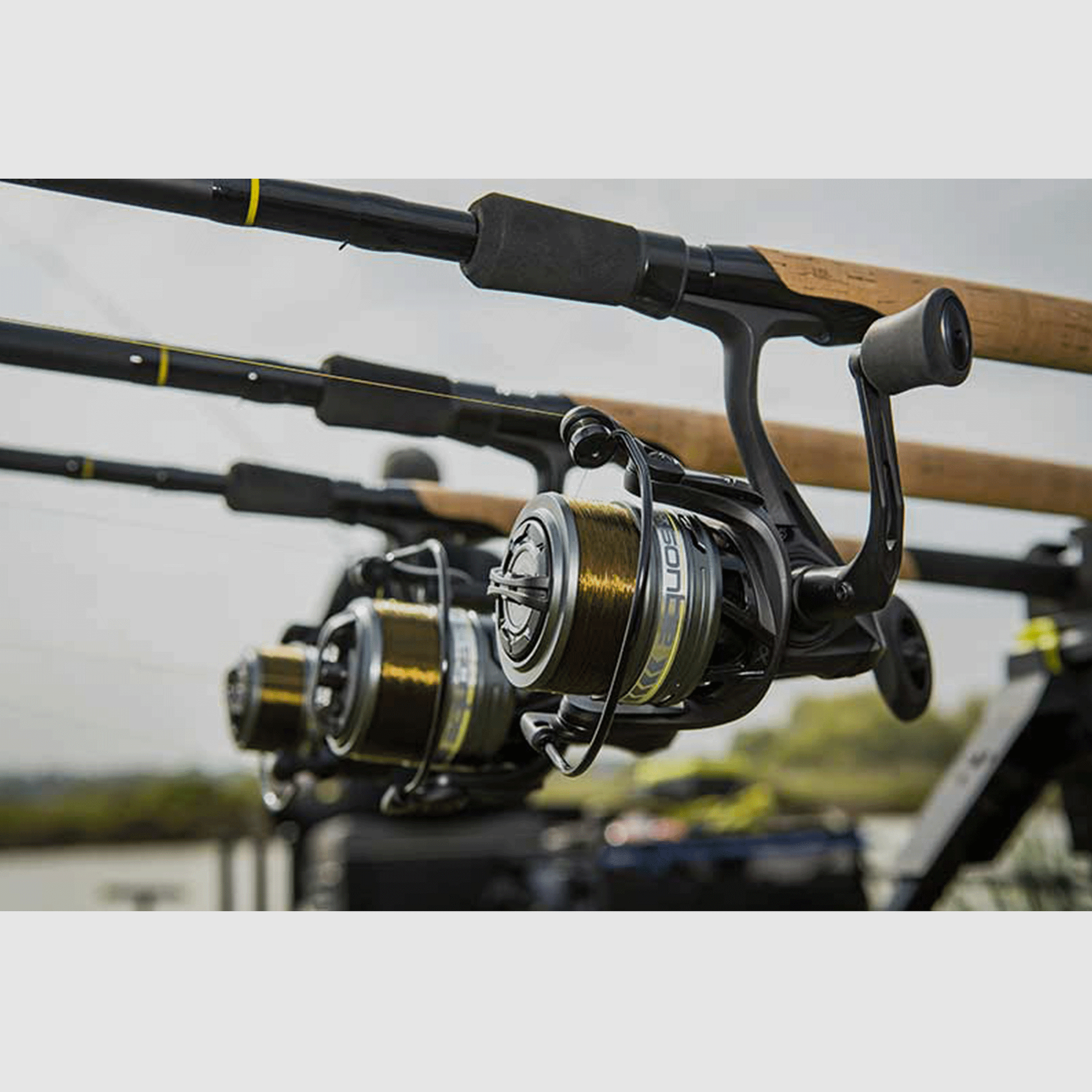 REEL – MATRIX – AQUOS ULTRA REEL, image 17 of 20