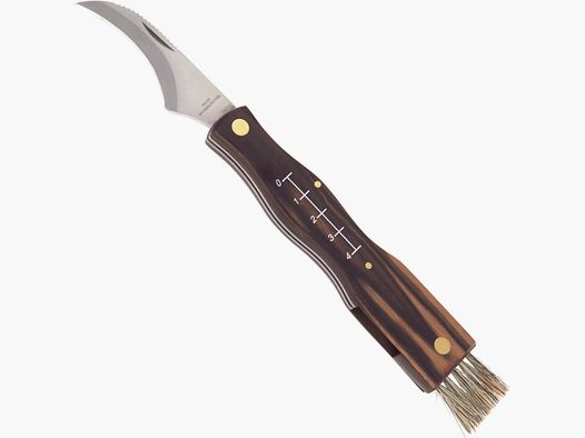 Pilzmesser braun