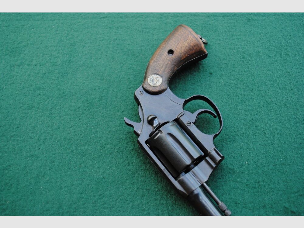 Colt Police Positive Special, Royal Hong Kong Police