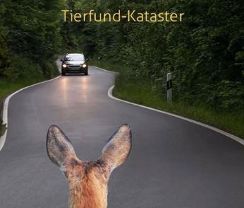Tierfund-Kataster App