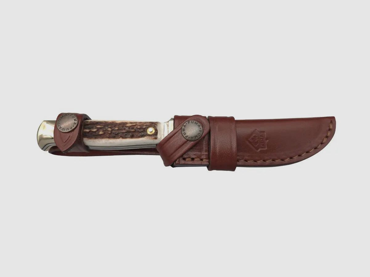 Couteau de chasse PUMA, édition FAOS "Cerf"