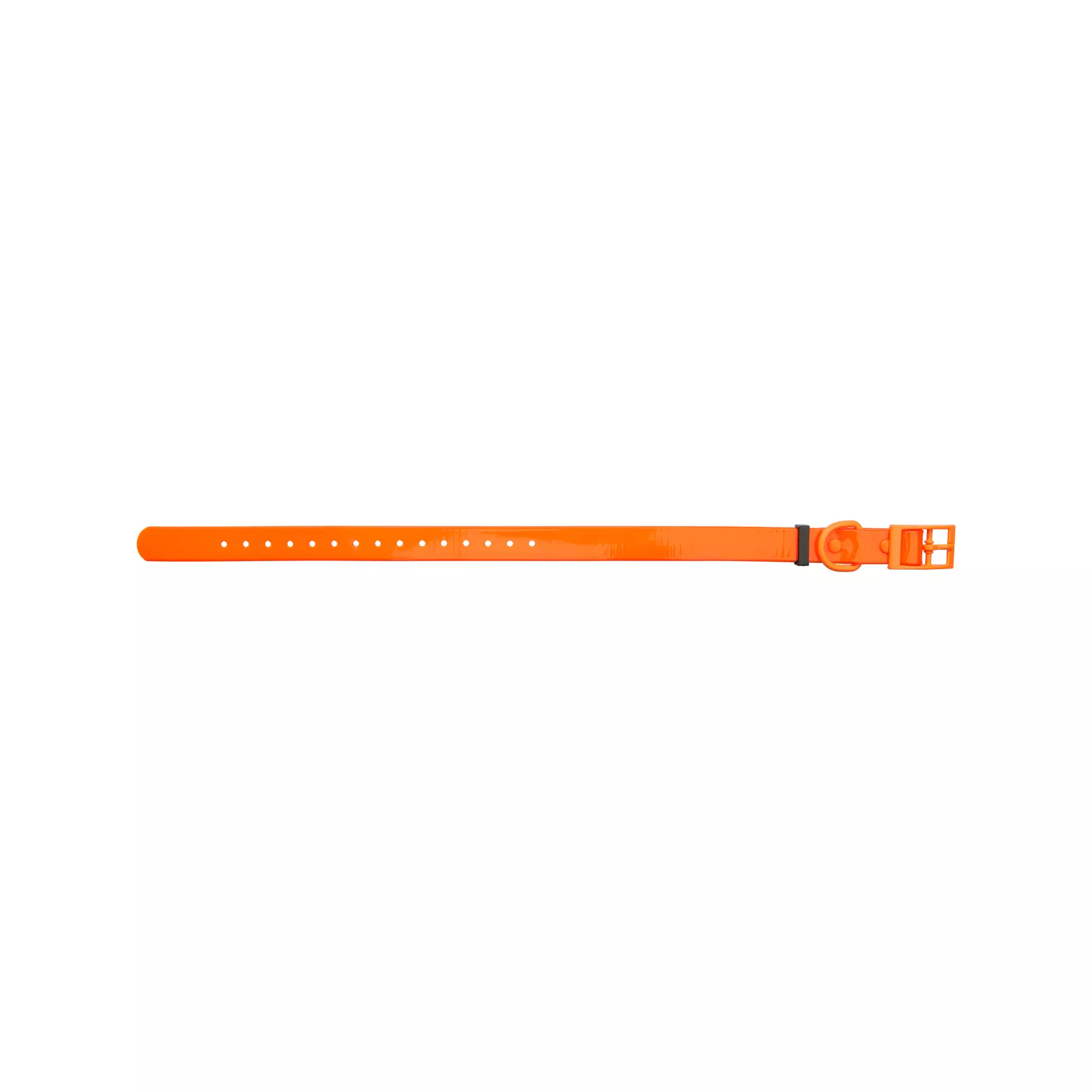 HP&G Hundehalsband 19mm Orange, Bild 1 von 3