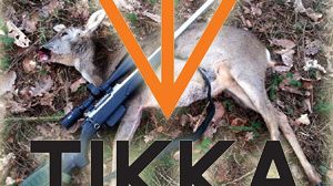 Review Tikka T3 Varmint 