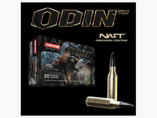NORMA 30-06 Spring. ODIN 11,7g / 180gr