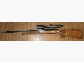 Sauer	 303 GTI