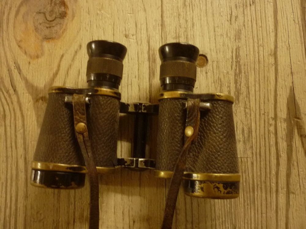 Hensold	 6x30-Dienstglas, Bild 1 von 6