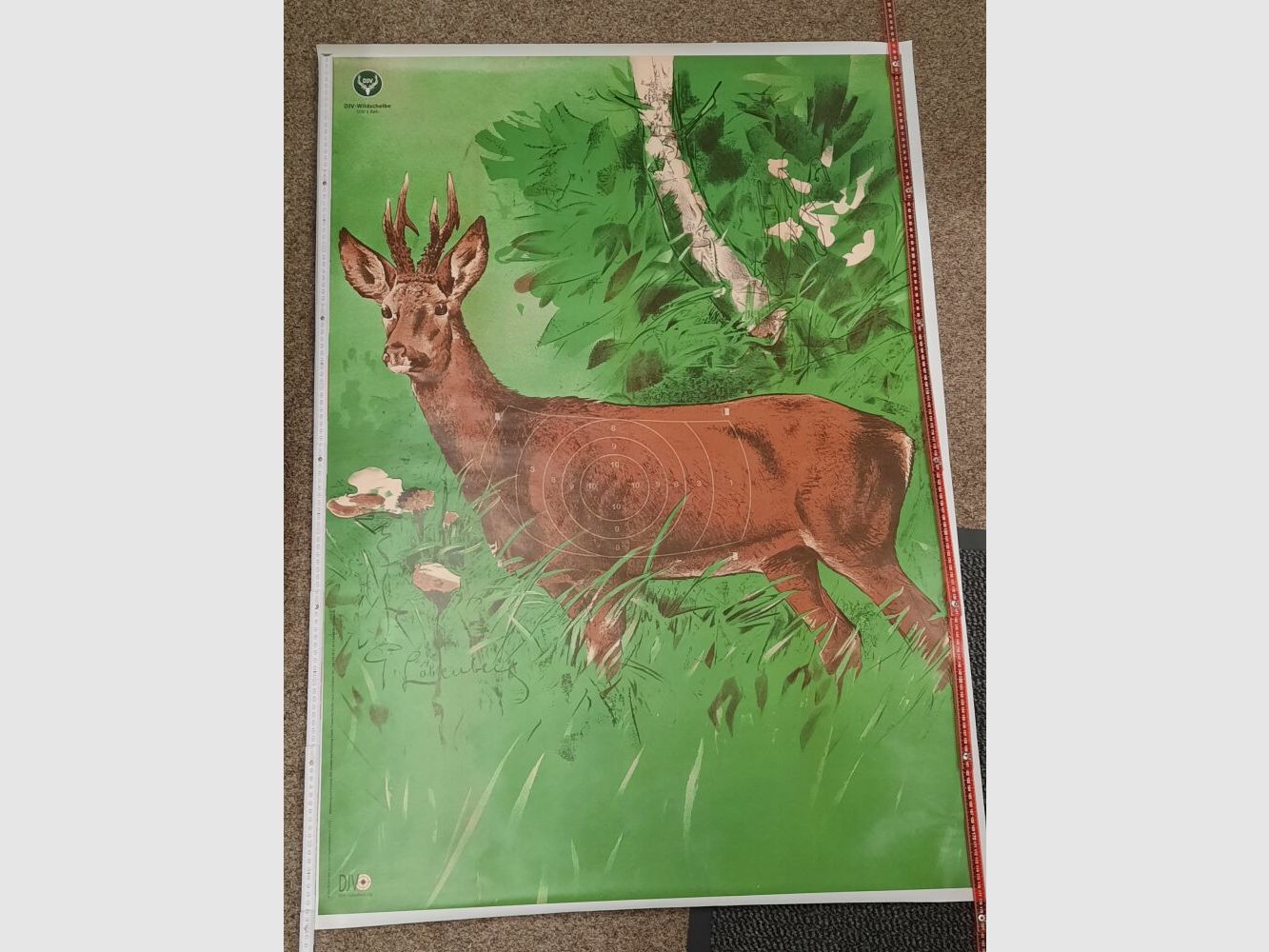 Schießscheibe Jagdscheibe Wildscheibe