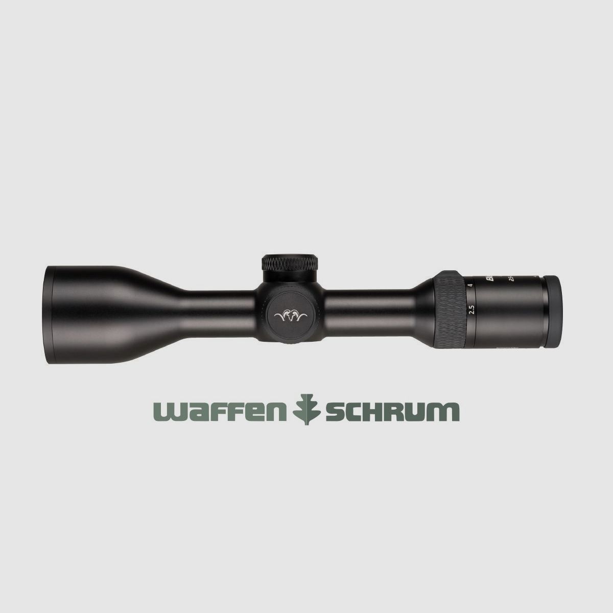 Blaser B2 2,5-15x56 iC QDC+ S  mit Schiene Illumination Control